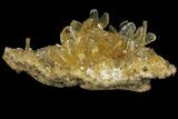 Selenite Crystal Cluster (Fluorescent) - Peru #94629-1